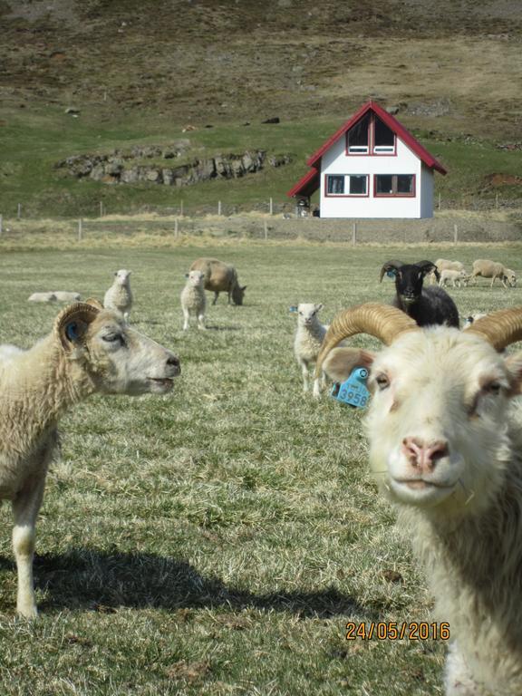 Guesthouse Asgarthur Disarstathir Eksteriør billede